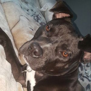 Meet your Posher, Humberto